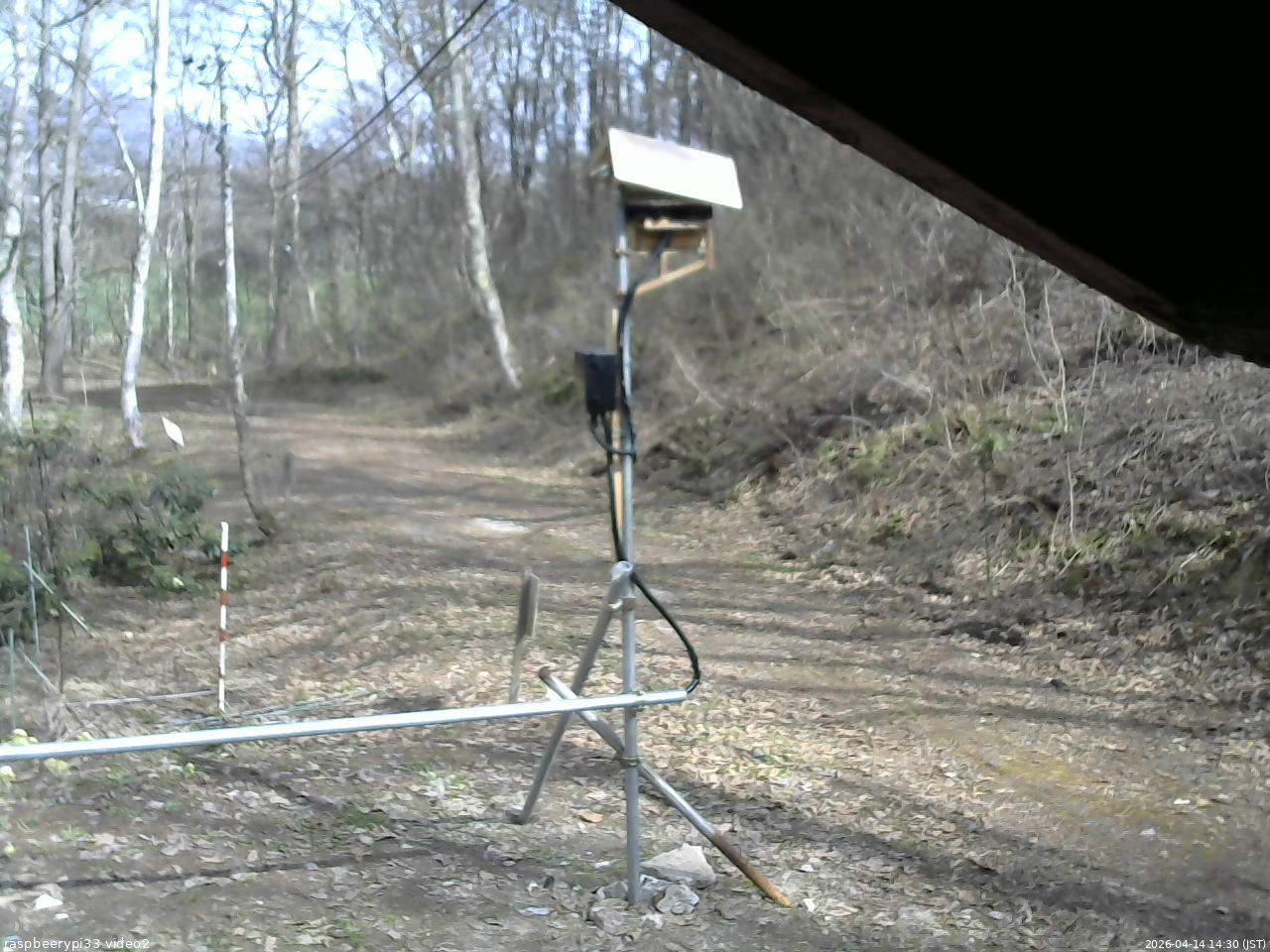 長野県菅平高原 ゆたか山荘 南側 2026/04/14 14:30
