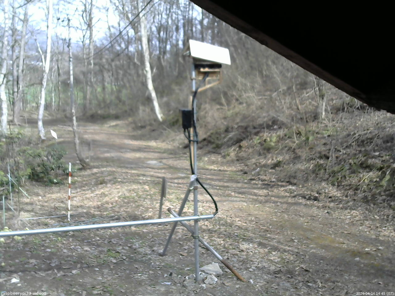 長野県菅平高原 ゆたか山荘 南側 2026/04/14 14:45