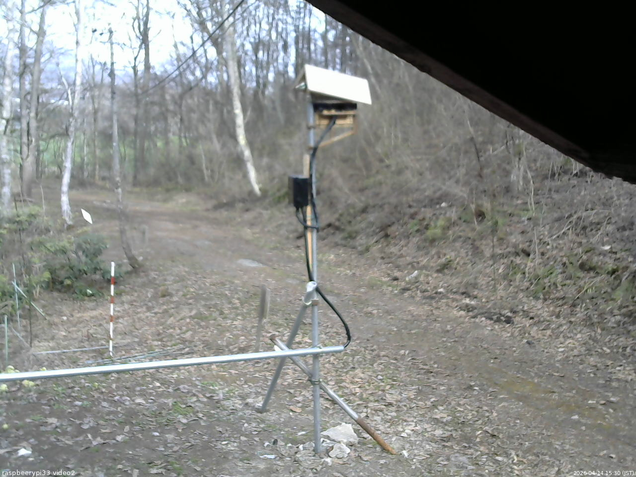 長野県菅平高原 ゆたか山荘 南側 2026/04/14 15:30