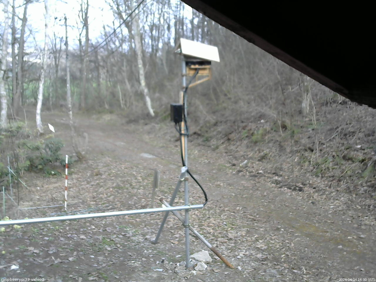 長野県菅平高原 ゆたか山荘 南側 2026/04/14 16:30