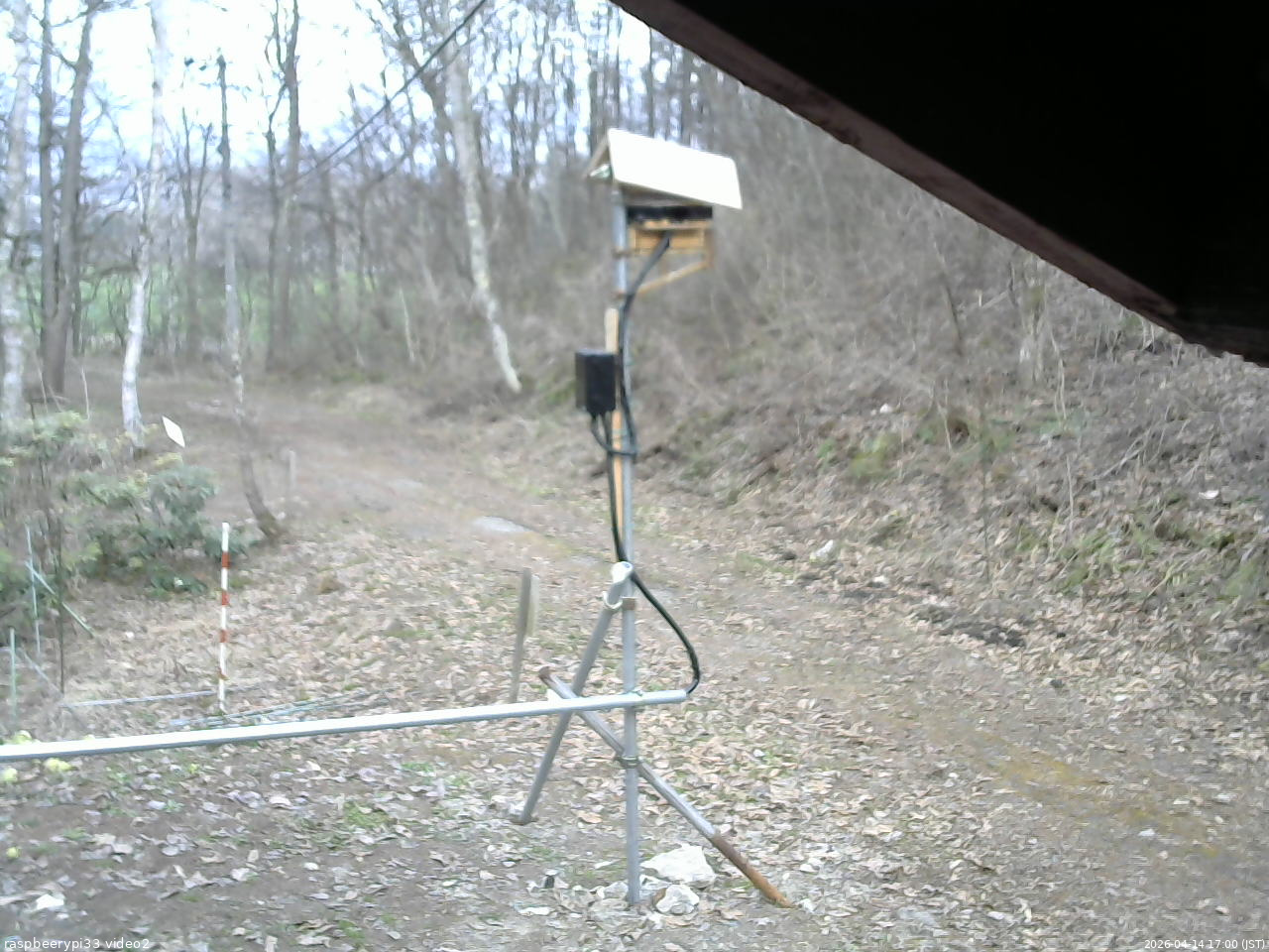 長野県菅平高原 ゆたか山荘 南側 2026/04/14 17:00