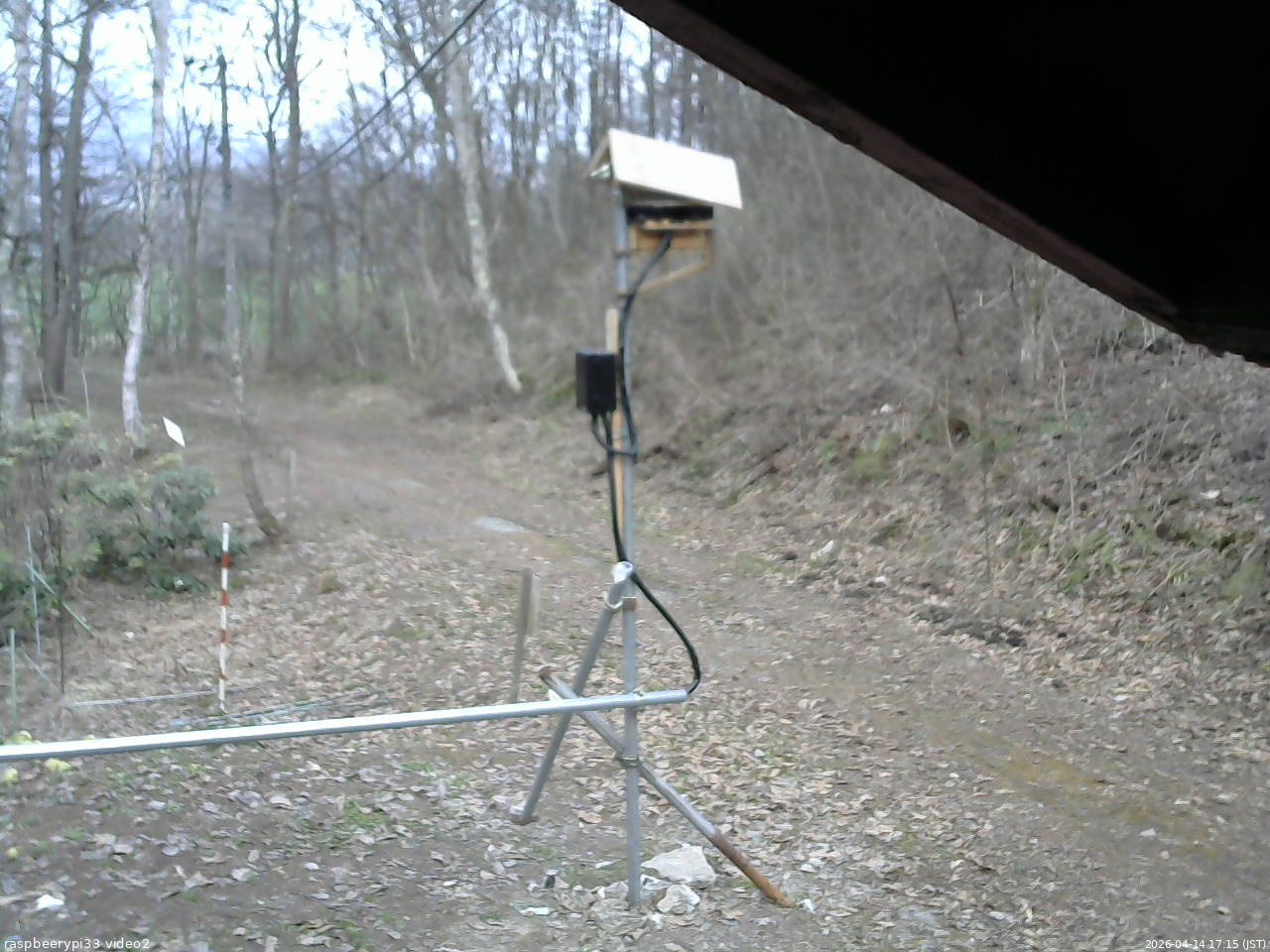 長野県菅平高原 ゆたか山荘 南側 2026/04/14 17:15