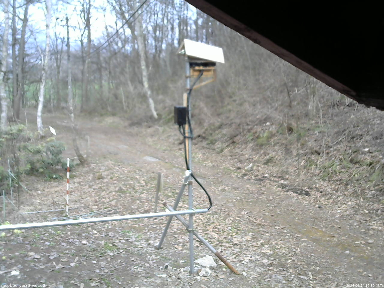 長野県菅平高原 ゆたか山荘 南側 2026/04/14 17:30