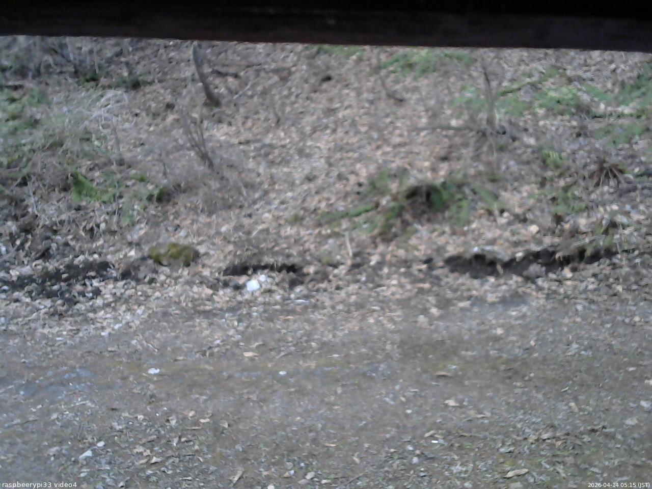 長野県菅平高原 ゆたか山荘 東側(坂下) 2026/04/14 05:15