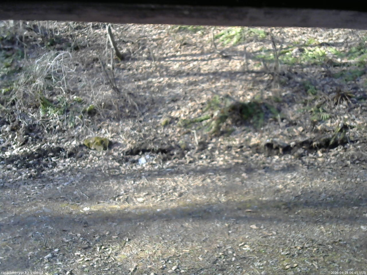 長野県菅平高原 ゆたか山荘 東側(坂下) 2026/04/14 06:45