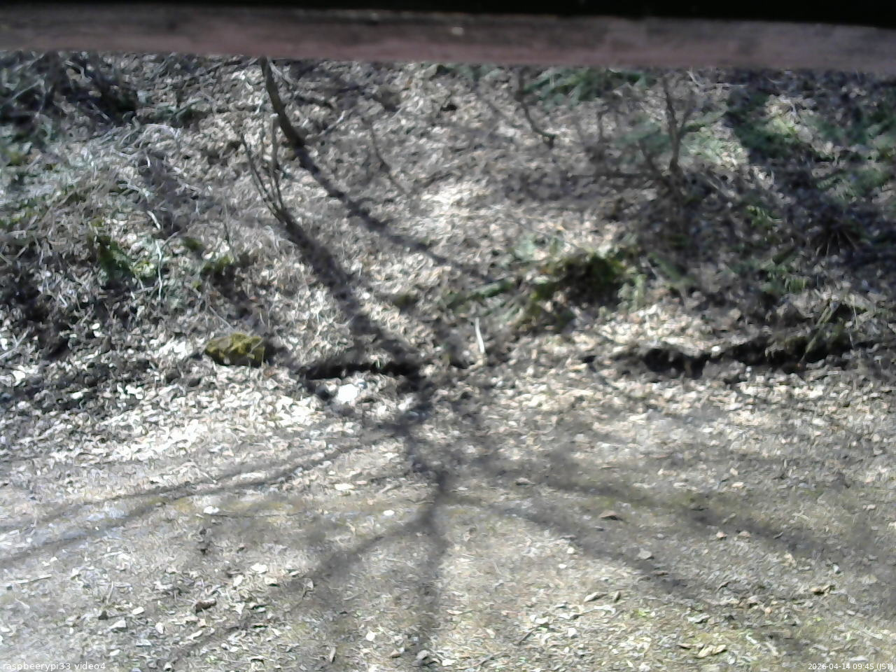 長野県菅平高原 ゆたか山荘 東側(坂下) 2026/04/14 09:45