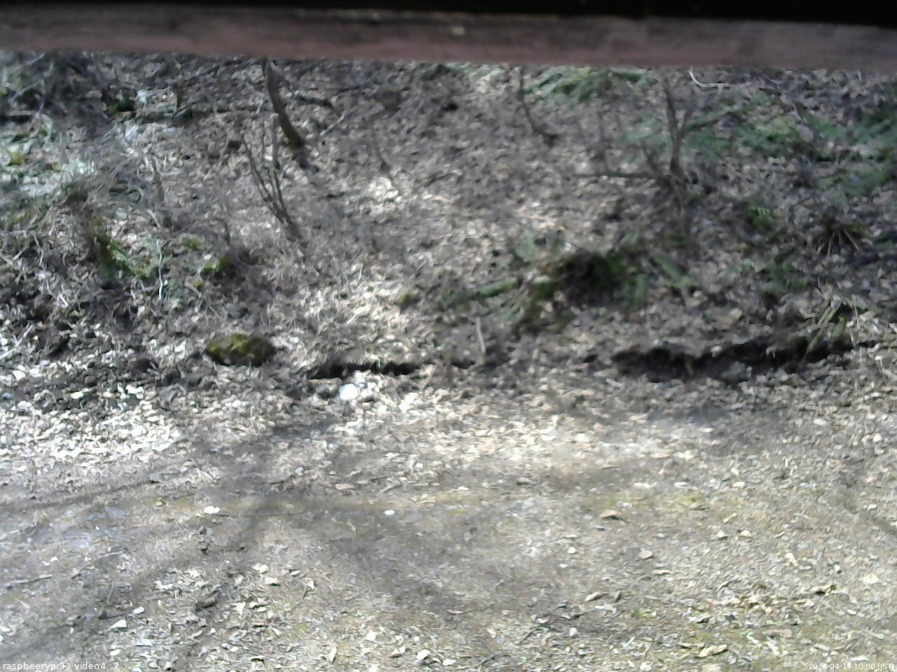 長野県菅平高原 ゆたか山荘 東側(坂下) 2026/04/14 10:00