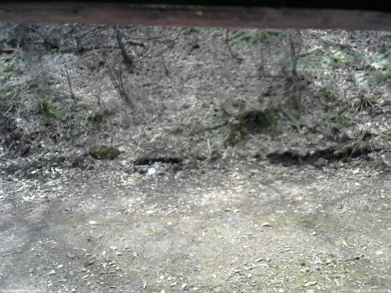 長野県菅平高原 ゆたか山荘 東側(坂下) 2026/04/14 10:15