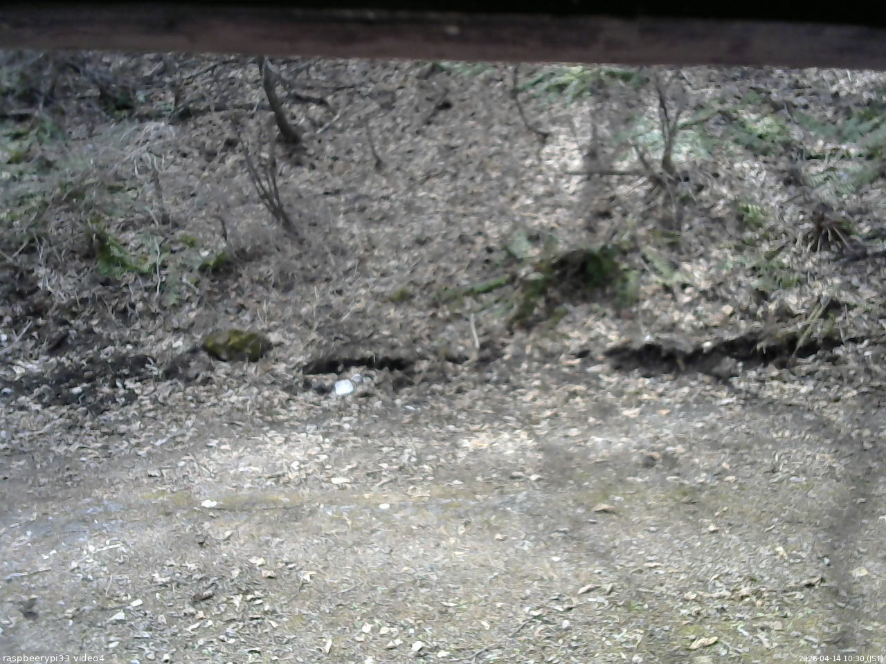 長野県菅平高原 ゆたか山荘 東側(坂下) 2026/04/14 10:30