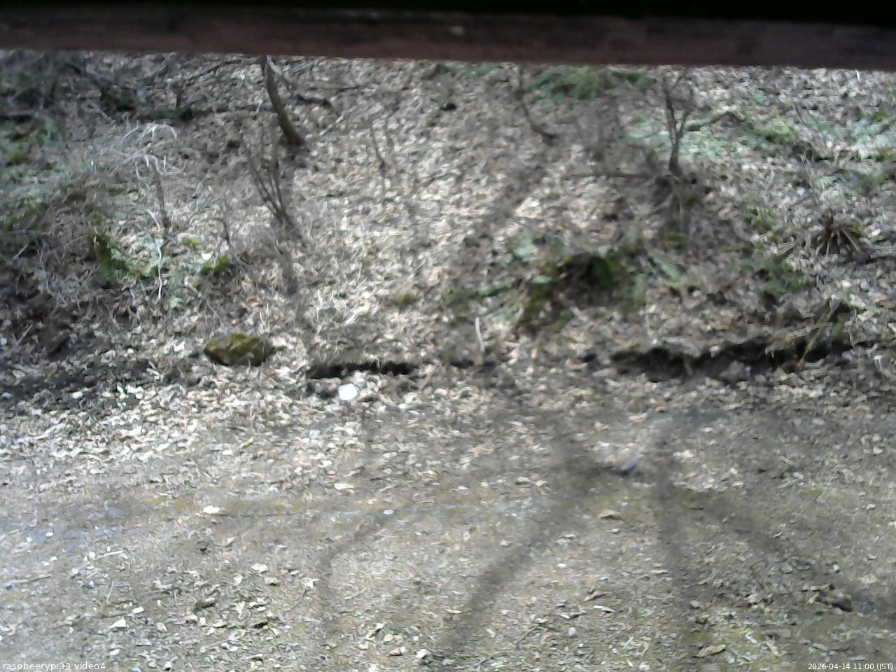 長野県菅平高原 ゆたか山荘 東側(坂下) 2026/04/14 11:00
