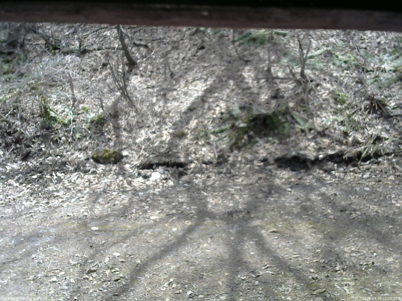 長野県菅平高原 ゆたか山荘 東側(坂下) 2026/04/14 11:15