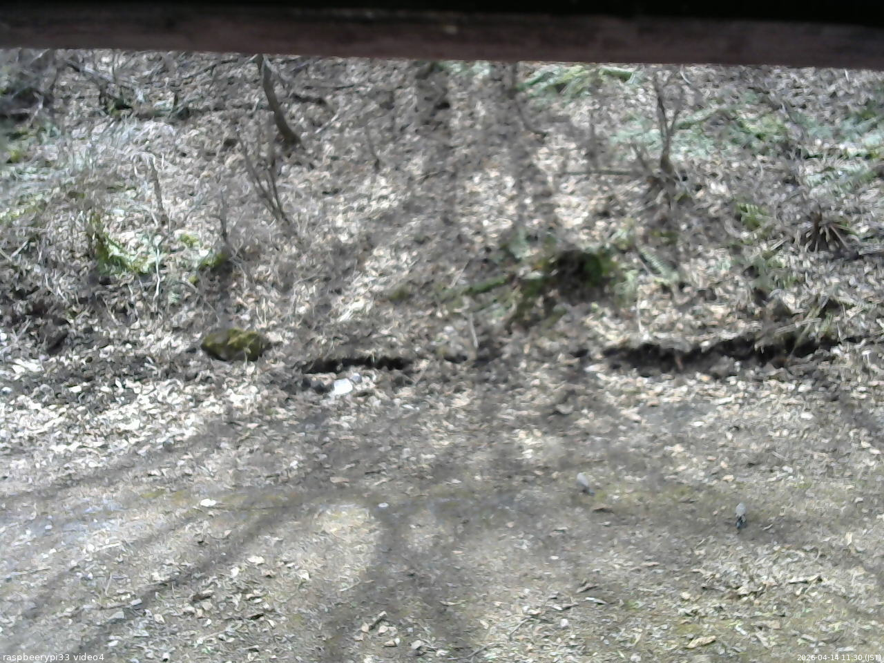 長野県菅平高原 ゆたか山荘 東側(坂下) 2026/04/14 11:30