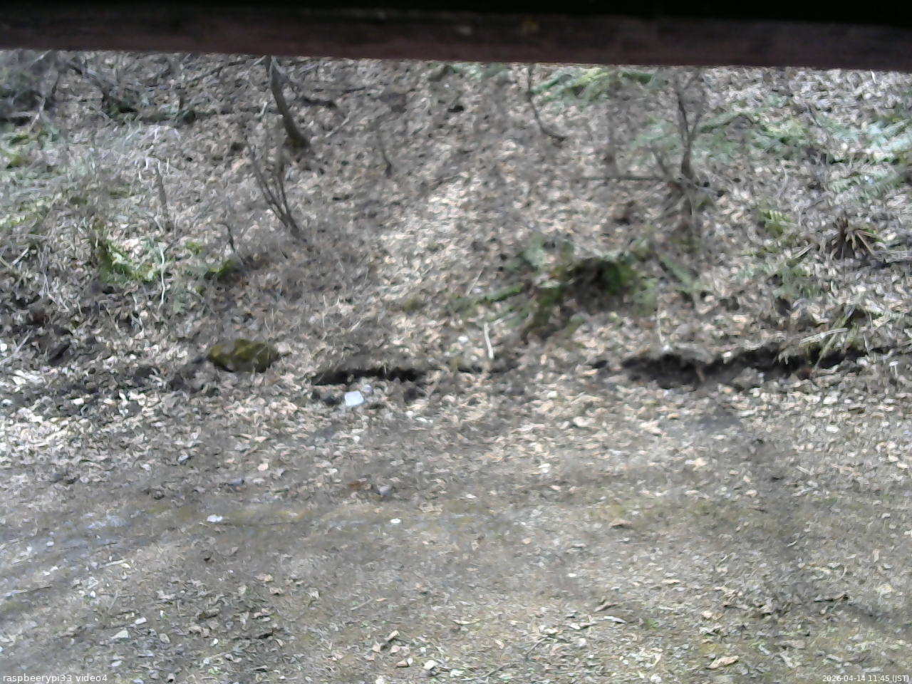 長野県菅平高原 ゆたか山荘 東側(坂下) 2026/04/14 11:45