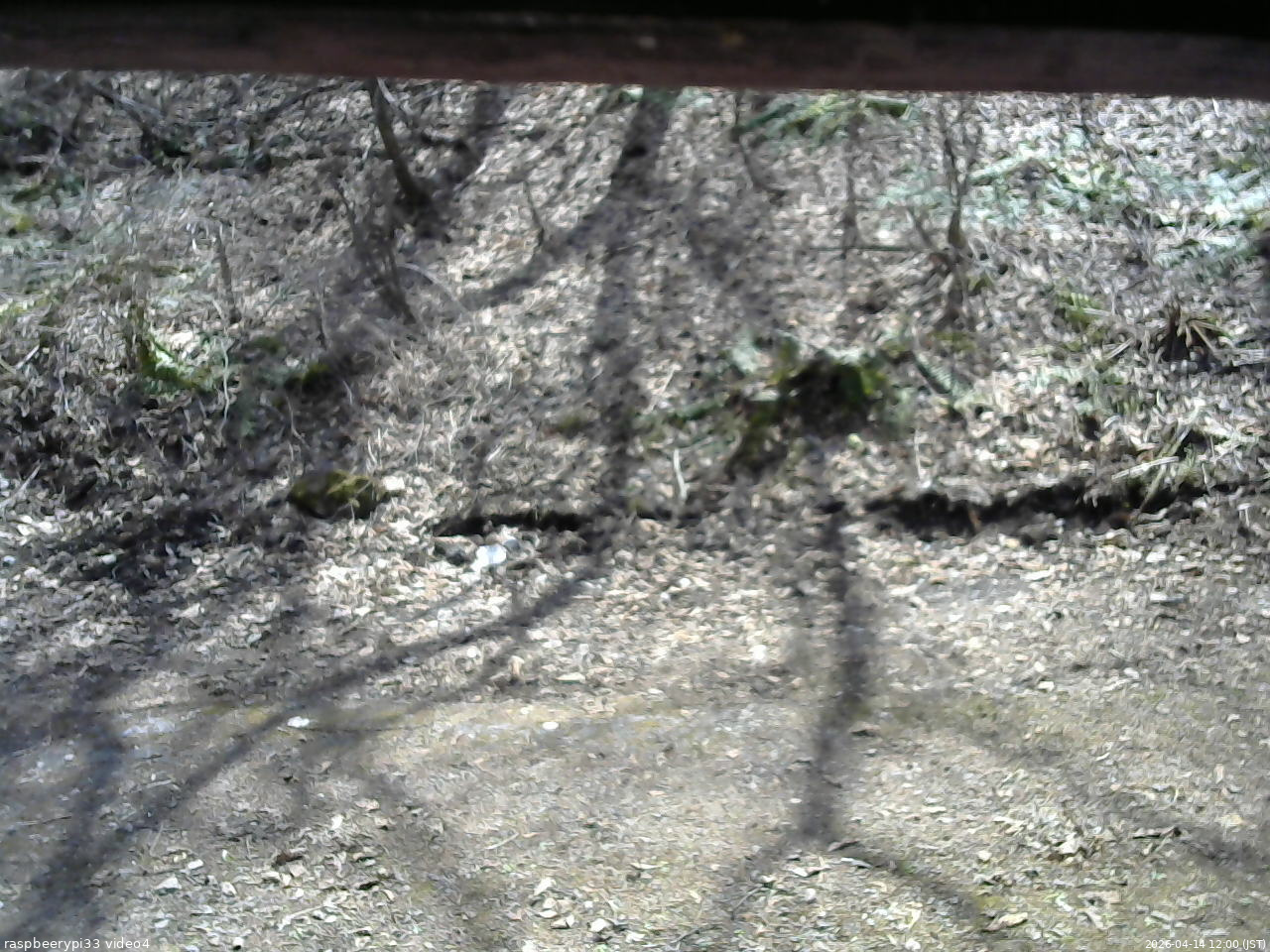 長野県菅平高原 ゆたか山荘 東側(坂下) 2026/04/14 12:00