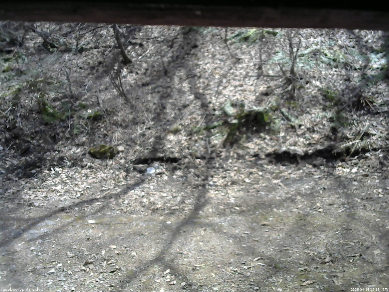 長野県菅平高原 ゆたか山荘 東側(坂下) 2026/04/14 12:15