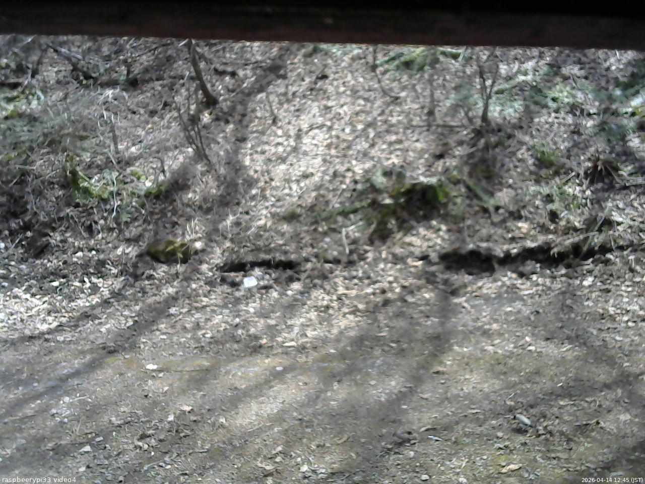 長野県菅平高原 ゆたか山荘 東側(坂下) 2026/04/14 12:45