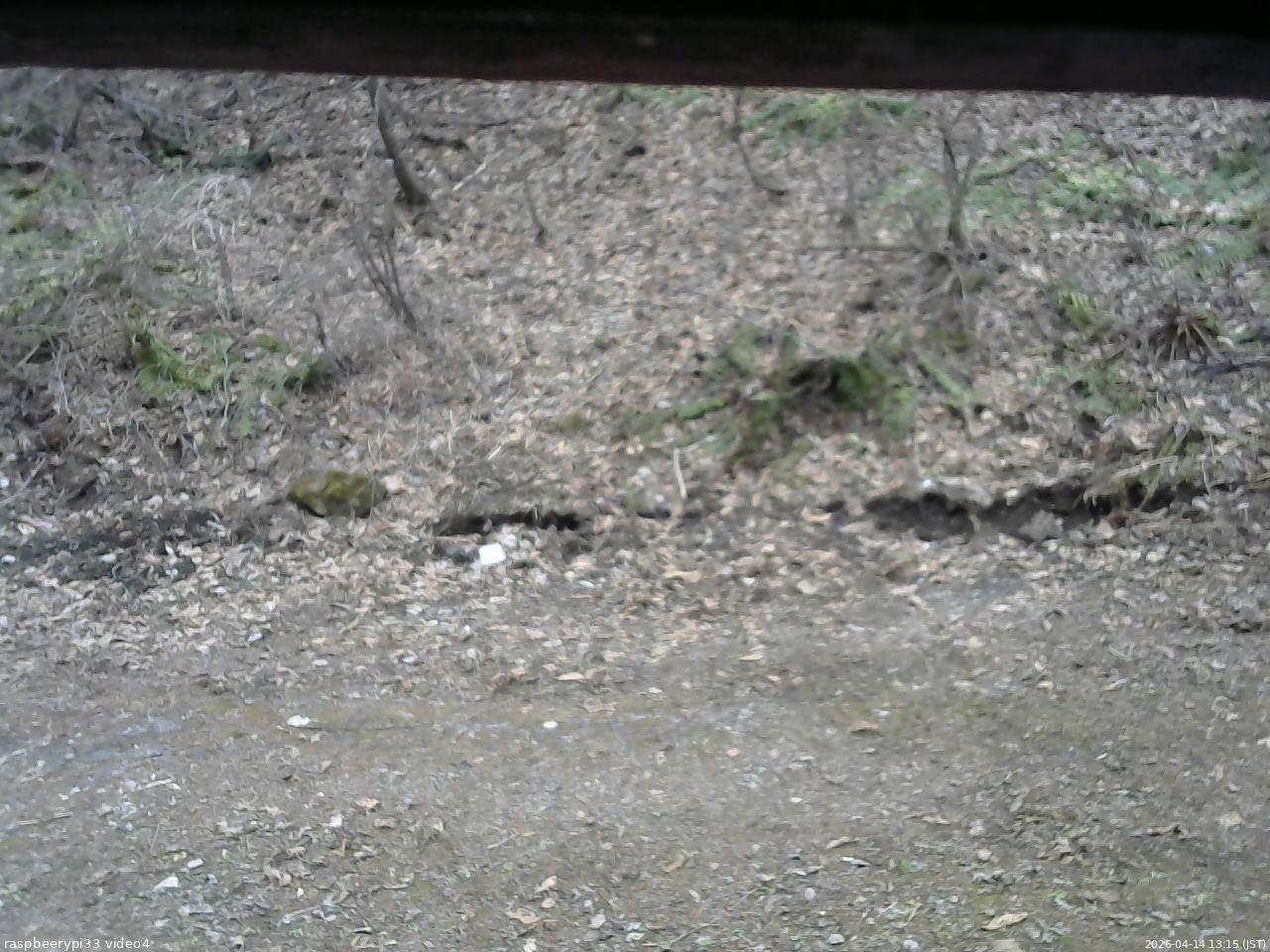 長野県菅平高原 ゆたか山荘 東側(坂下) 2026/04/14 13:15