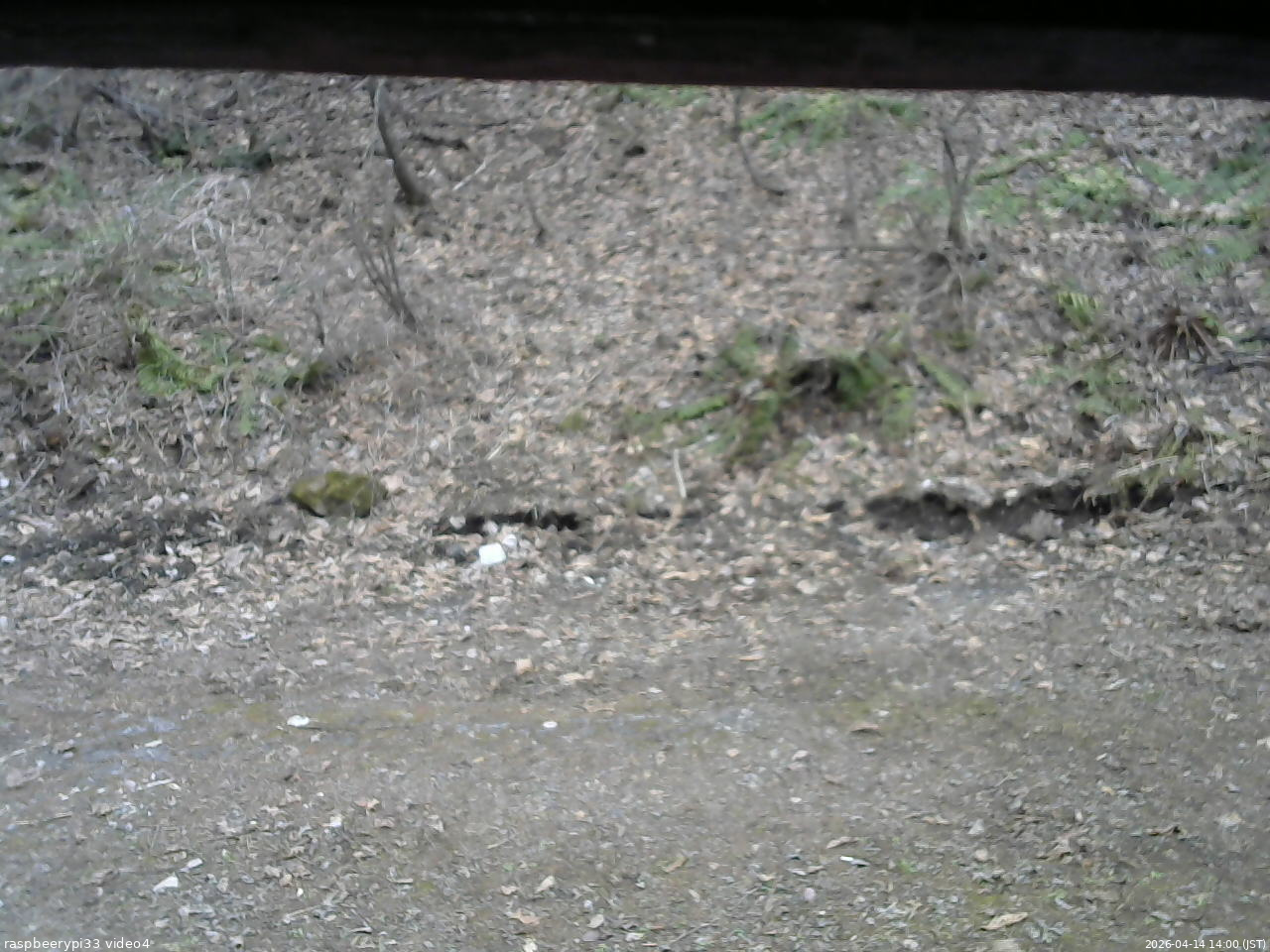 長野県菅平高原 ゆたか山荘 東側(坂下) 2026/04/14 14:00