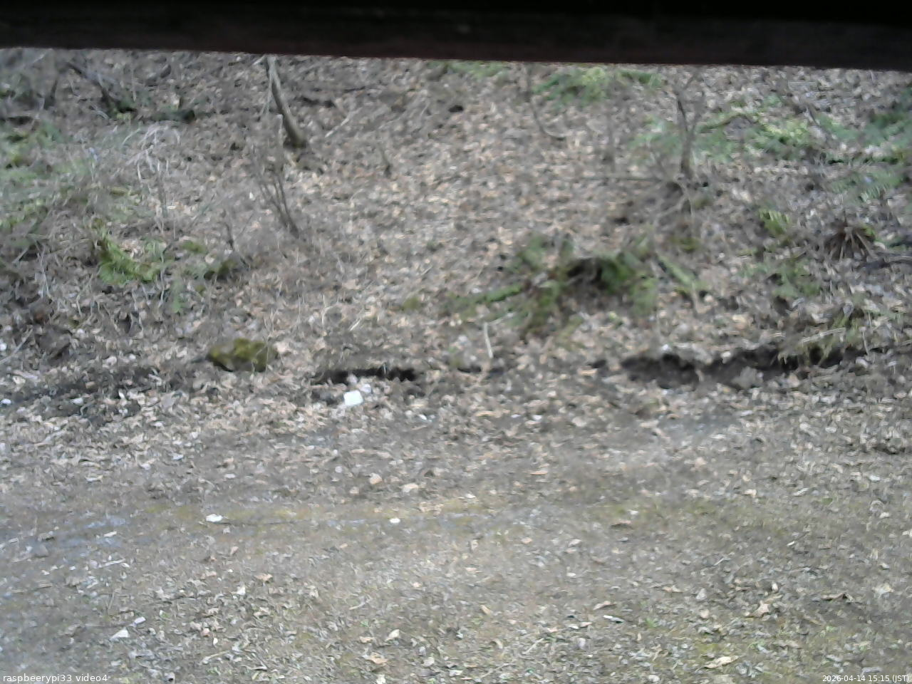 長野県菅平高原 ゆたか山荘 東側(坂下) 2026/04/14 15:15