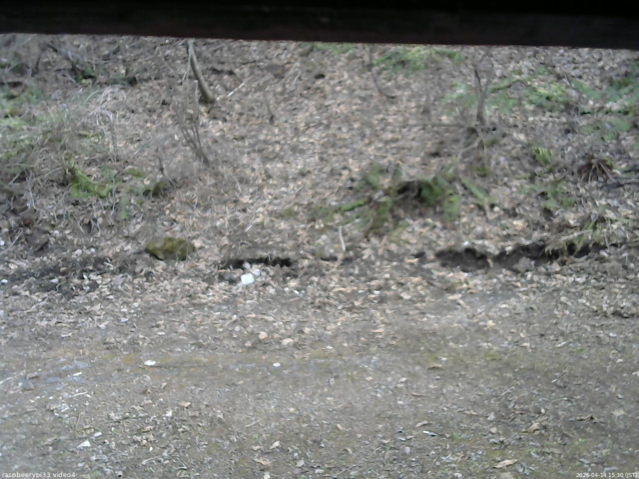 長野県菅平高原 ゆたか山荘 東側(坂下) 2026/04/14 15:30