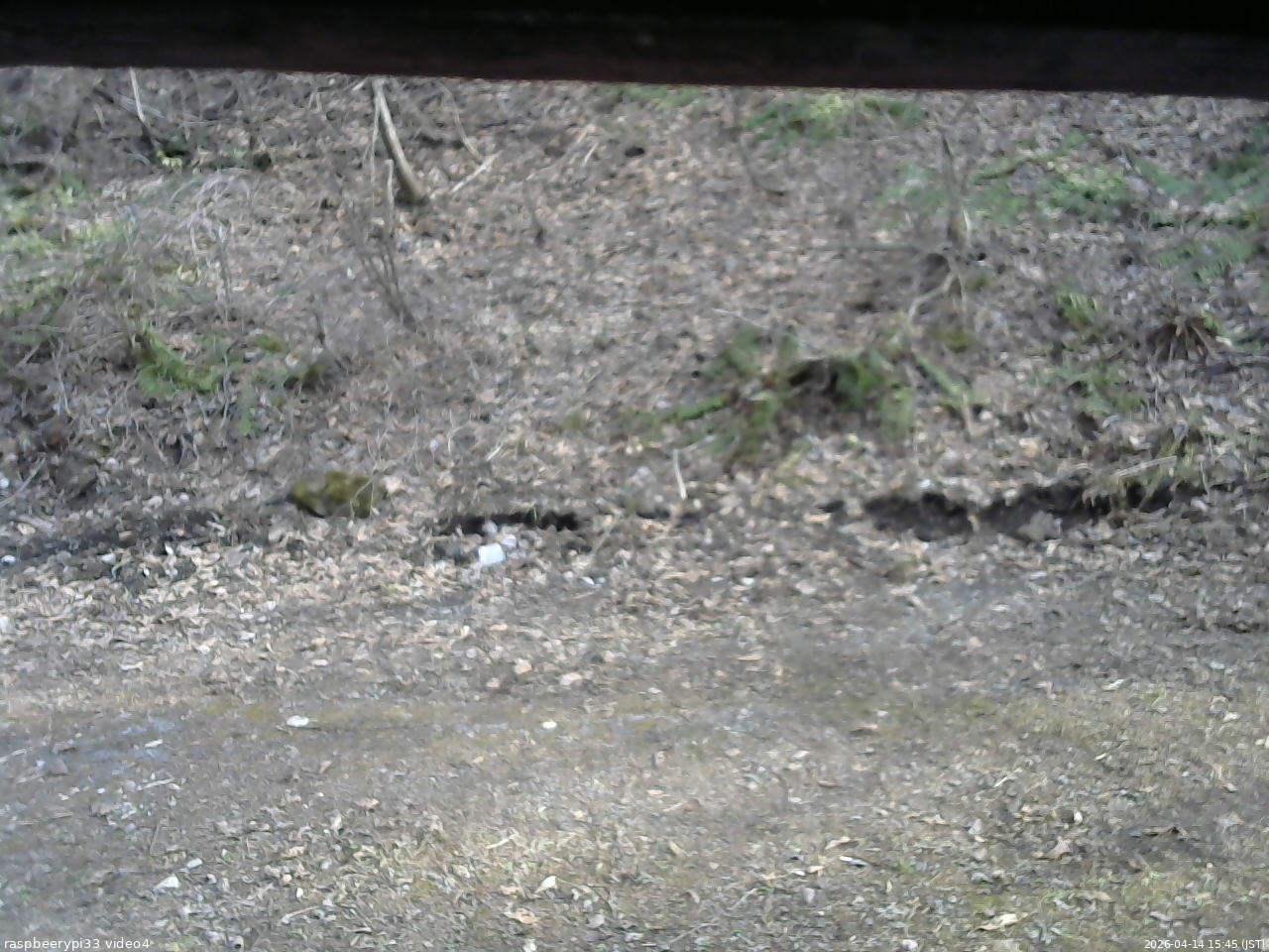 長野県菅平高原 ゆたか山荘 東側(坂下) 2026/04/14 15:45