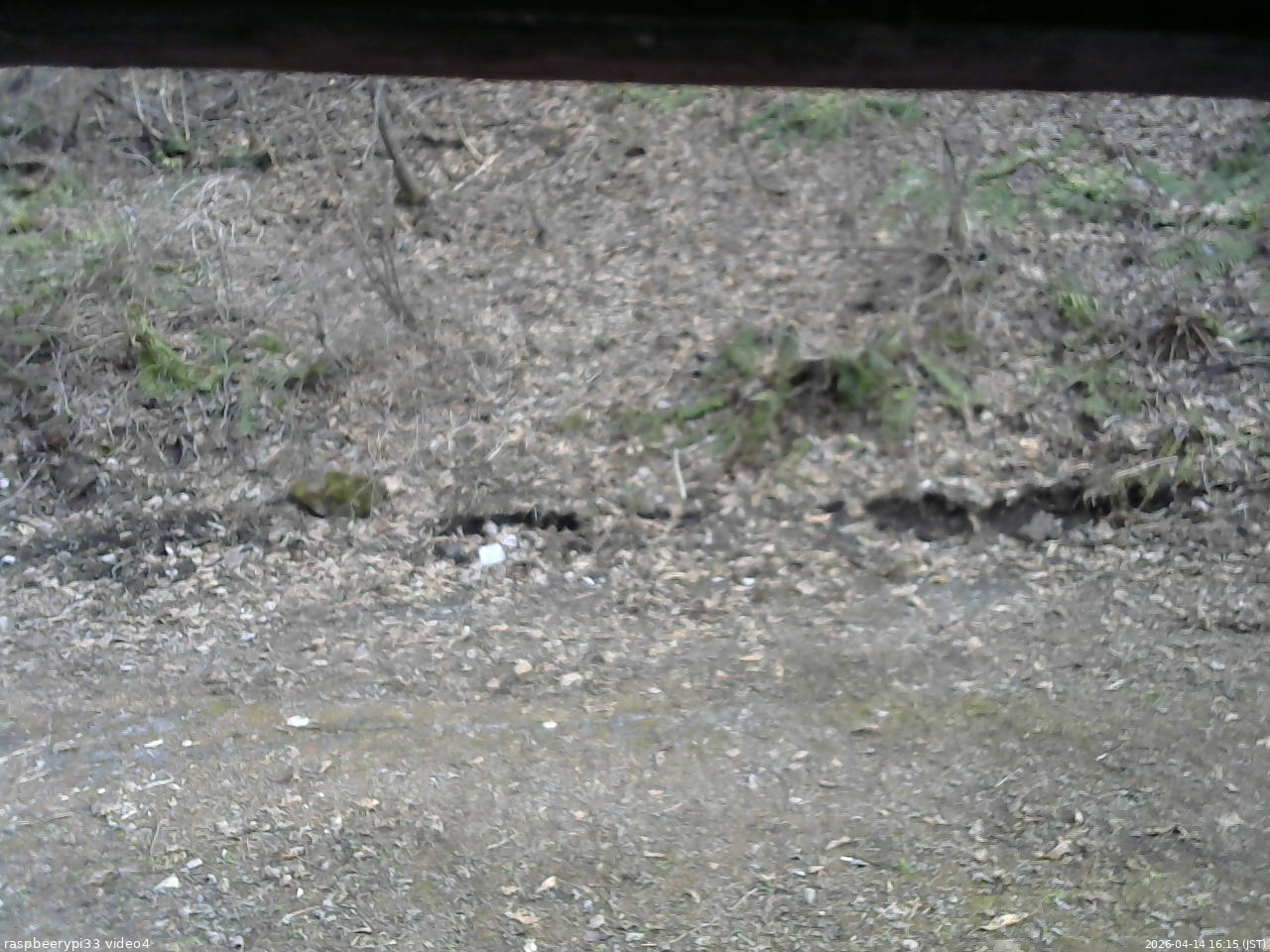 長野県菅平高原 ゆたか山荘 東側(坂下) 2026/04/14 16:15