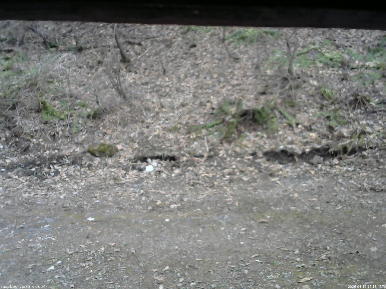 長野県菅平高原 ゆたか山荘 東側(坂下) 2026/04/14 17:15