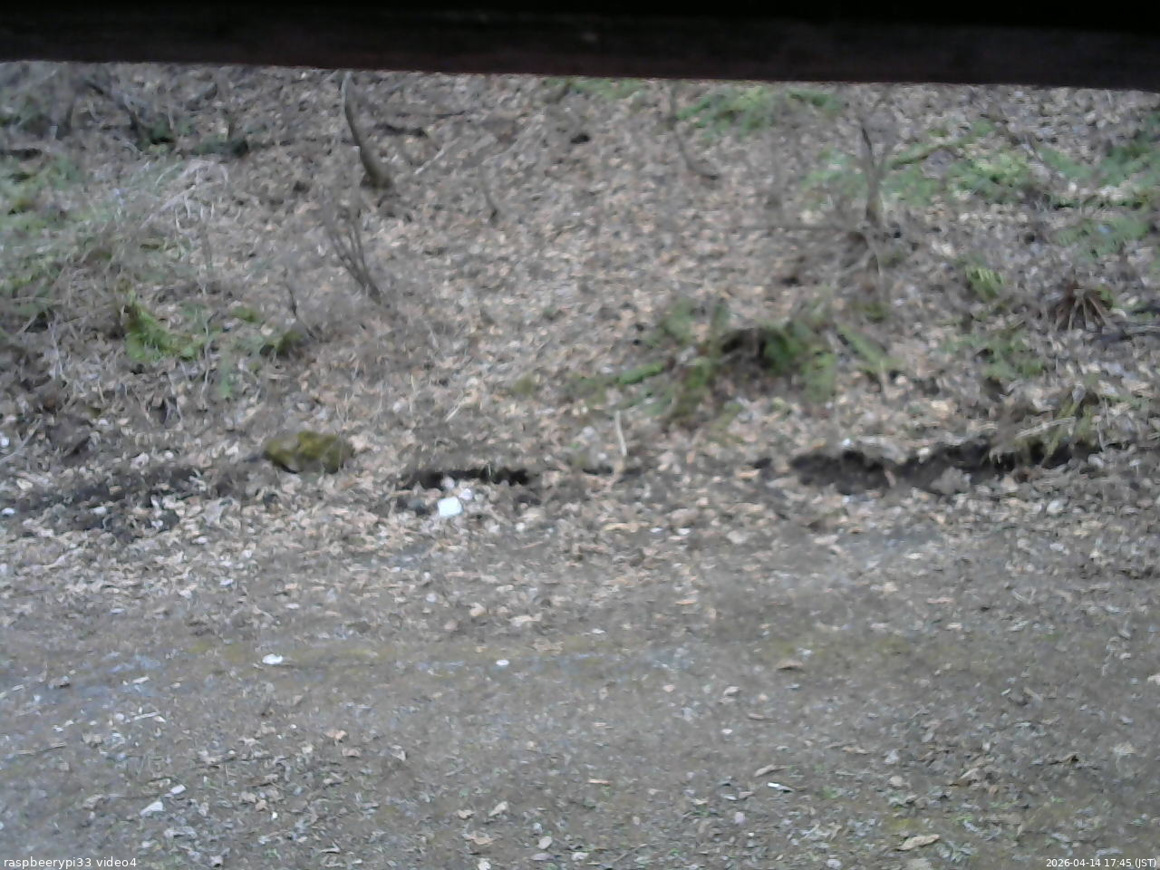 長野県菅平高原 ゆたか山荘 東側(坂下) 2026/04/14 17:45