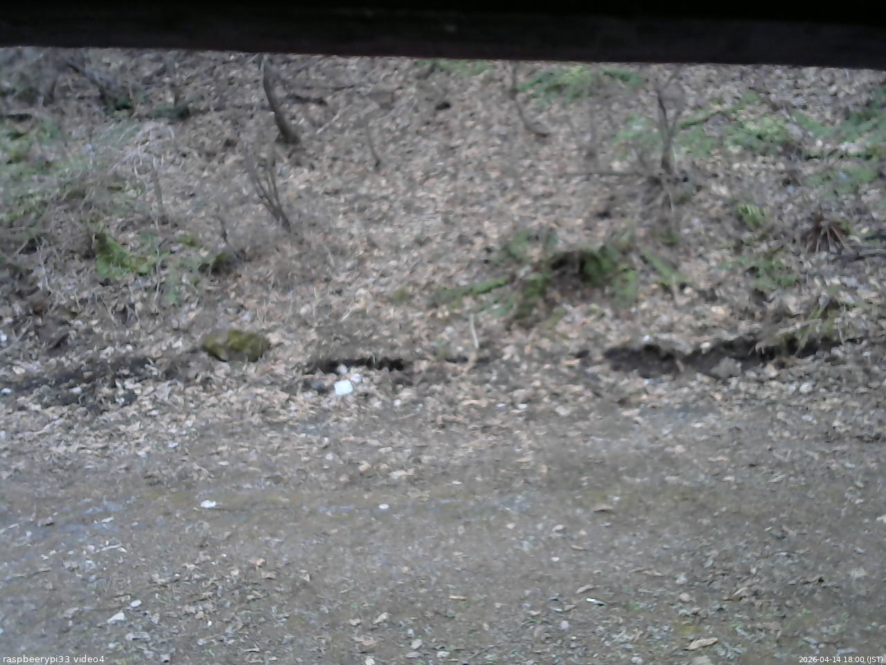 長野県菅平高原 ゆたか山荘 東側(坂下) 2026/04/14 18:00