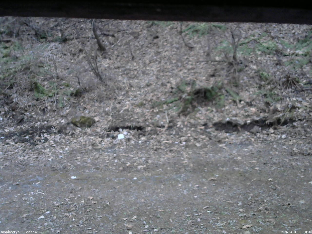 長野県菅平高原 ゆたか山荘 東側(坂下) 2026/04/14 18:15
