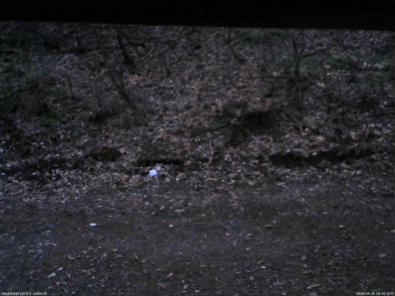 長野県菅平高原 ゆたか山荘 東側(坂下) 2026/04/14 18:30