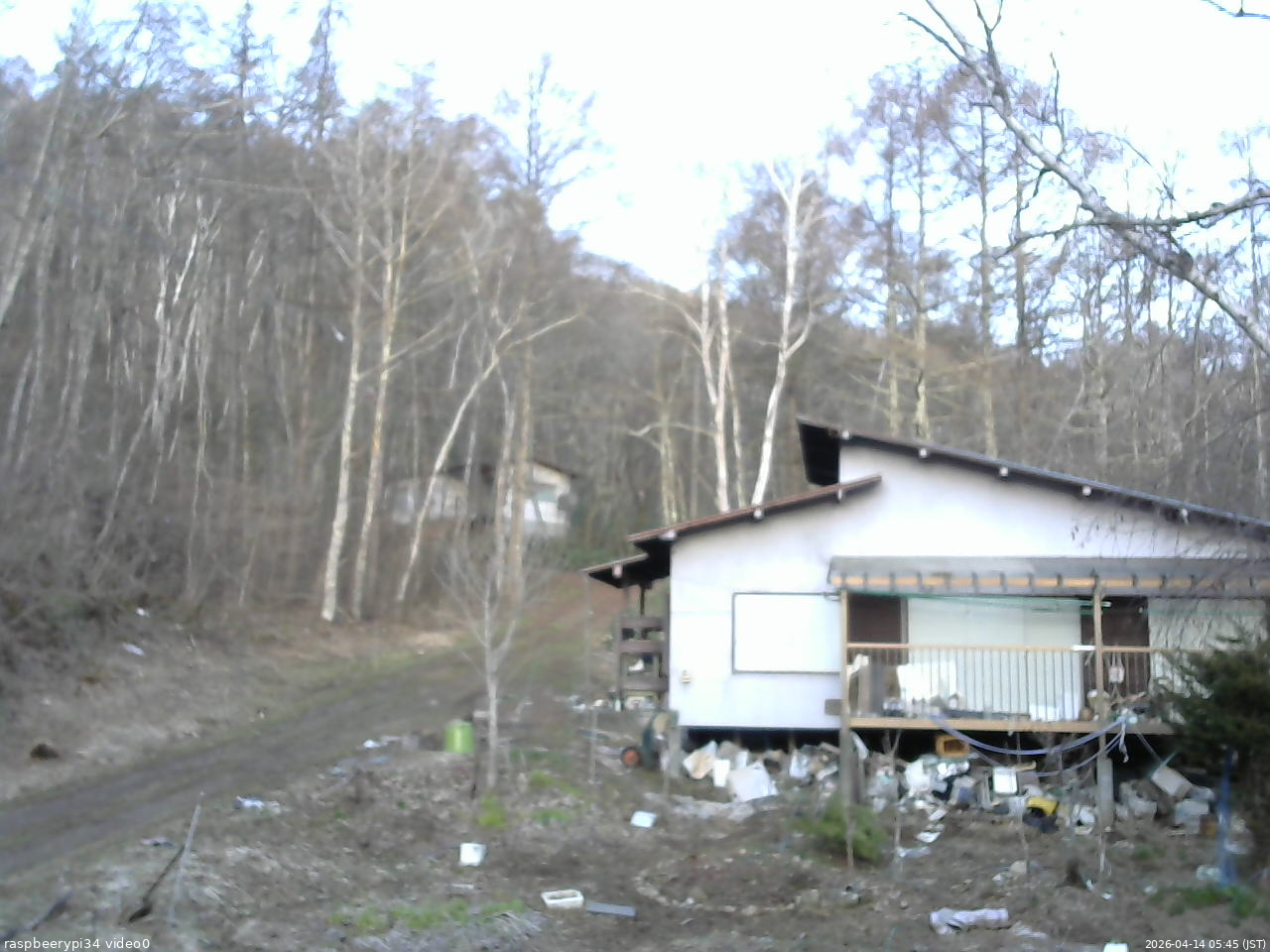 長野県菅平高原 ゆたか山荘 西側(坂上) 2026/04/14 05:45