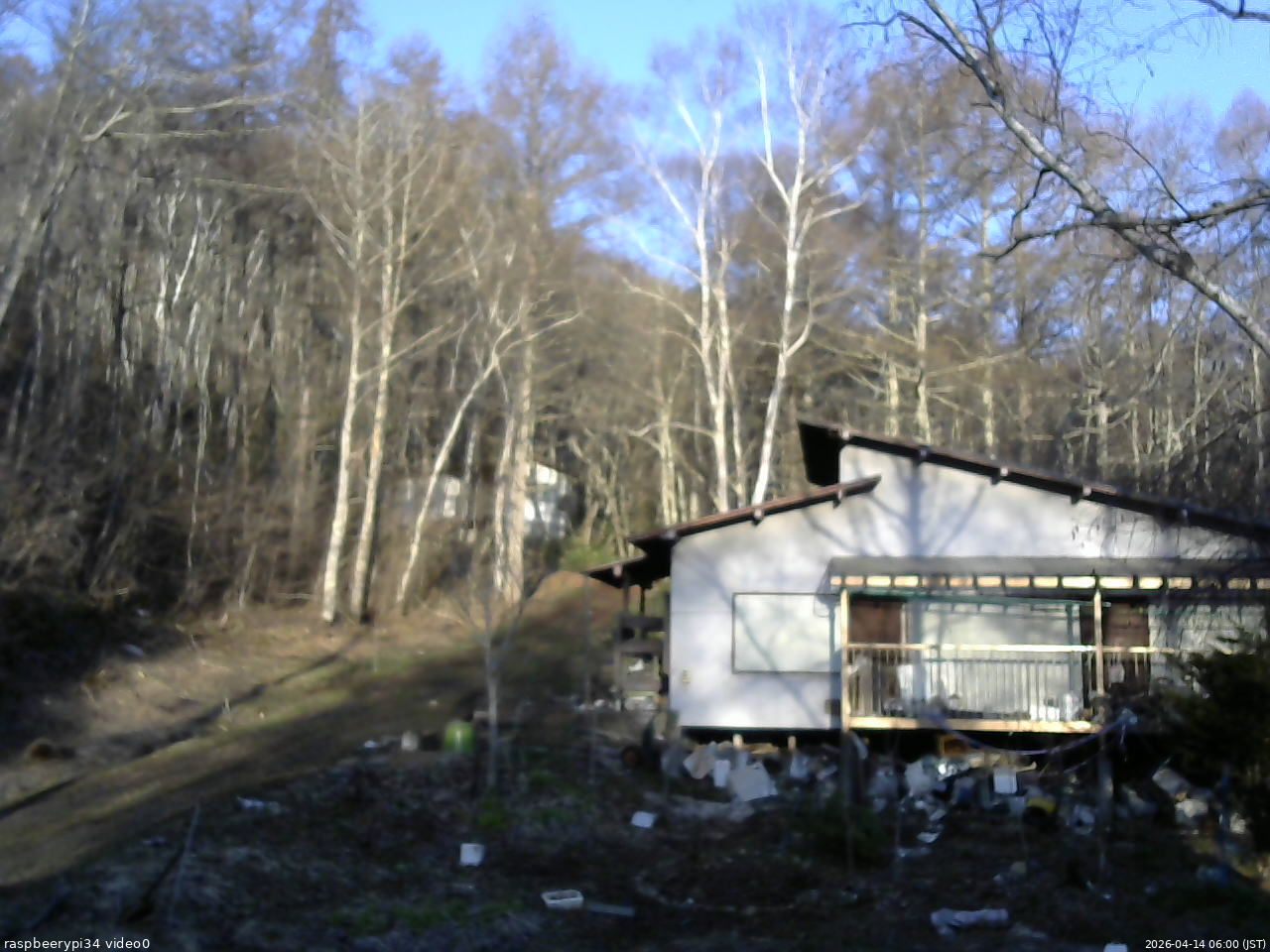 長野県菅平高原 ゆたか山荘 西側(坂上) 2026/04/14 06:00