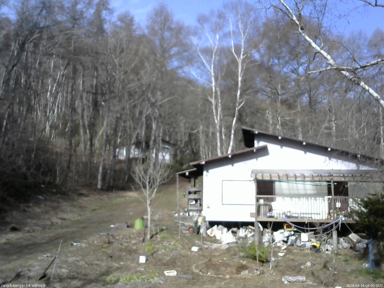 長野県菅平高原 ゆたか山荘 西側(坂上) 2026/04/14 08:00