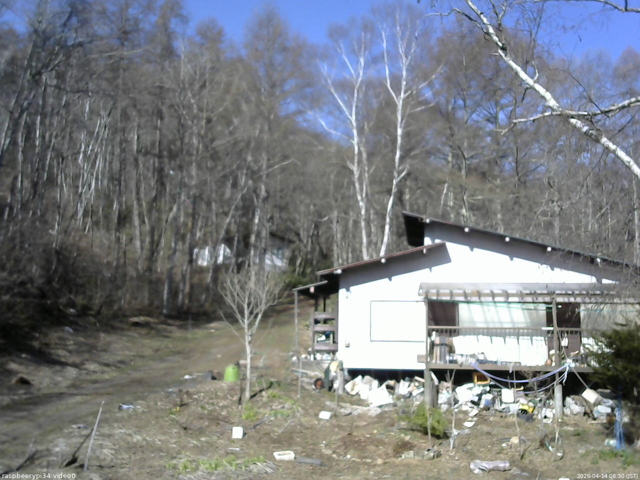長野県菅平高原 ゆたか山荘 西側(坂上) 2026/04/14 08:30