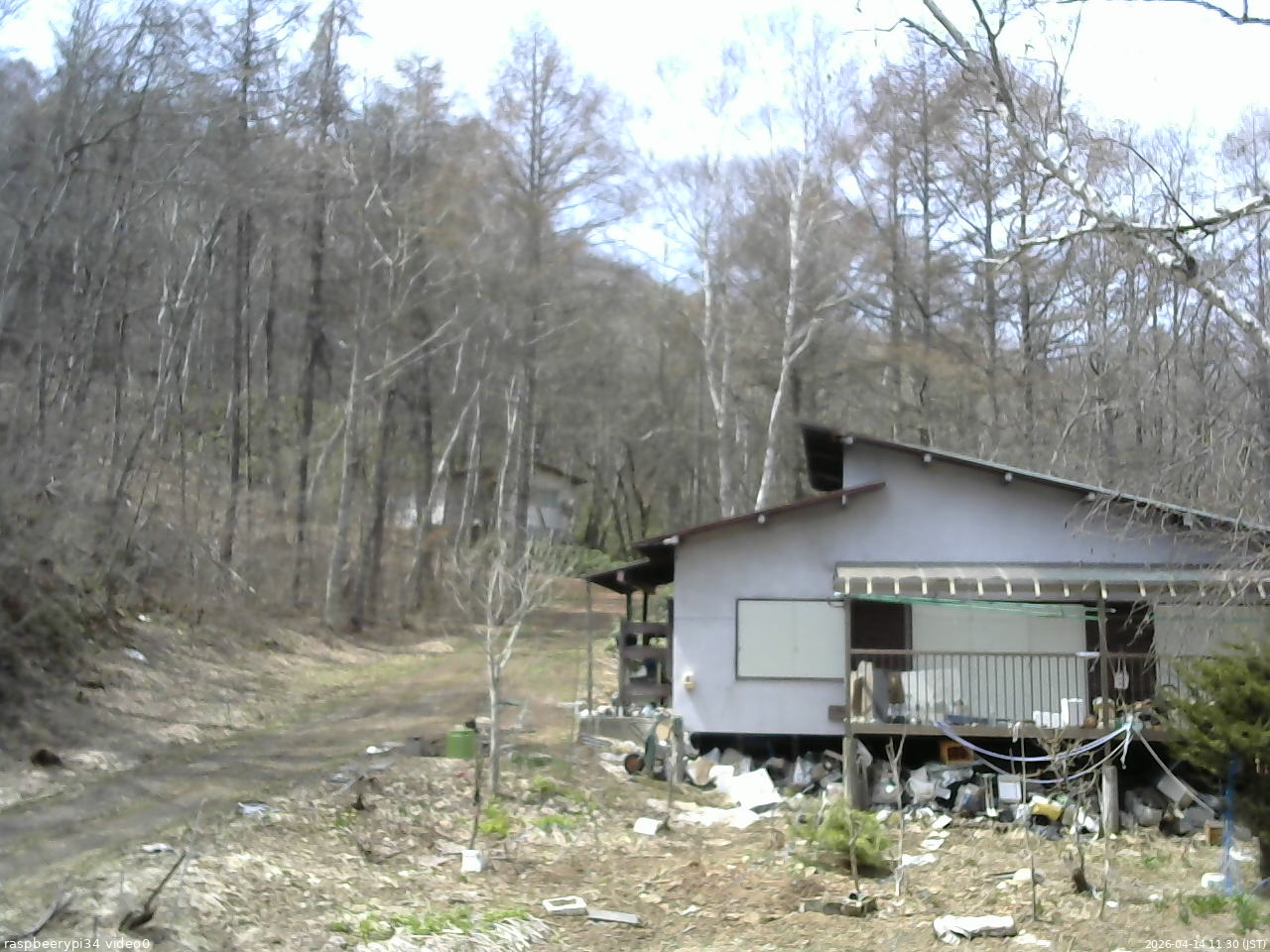 長野県菅平高原 ゆたか山荘 西側(坂上) 2026/04/14 11:30