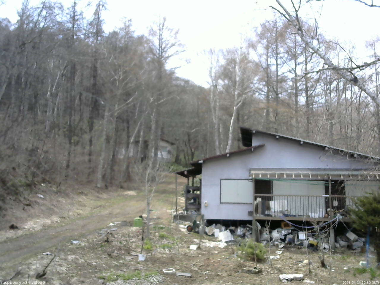 長野県菅平高原 ゆたか山荘 西側(坂上) 2026/04/14 12:30