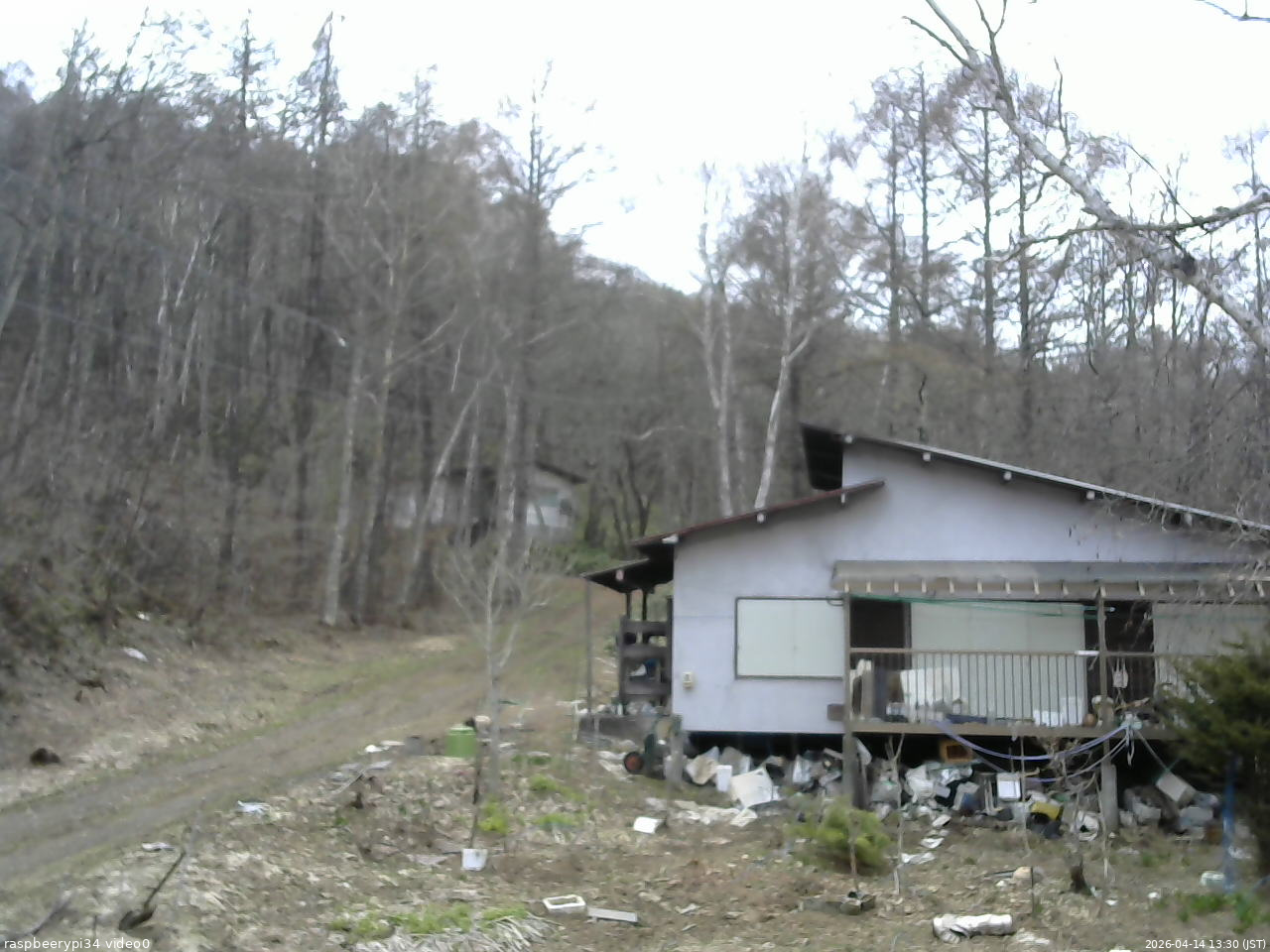 長野県菅平高原 ゆたか山荘 西側(坂上) 2026/04/14 13:30