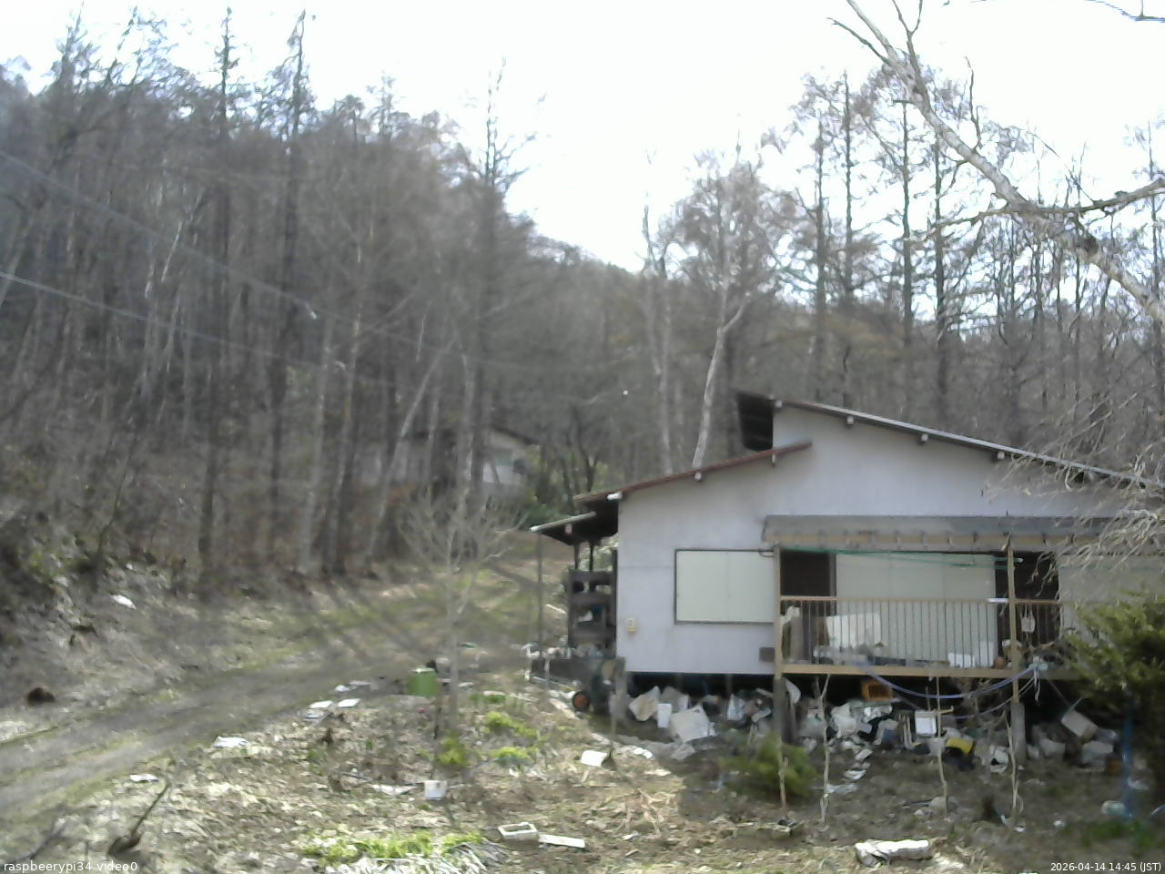 長野県菅平高原 ゆたか山荘 西側(坂上) 2026/04/14 14:45