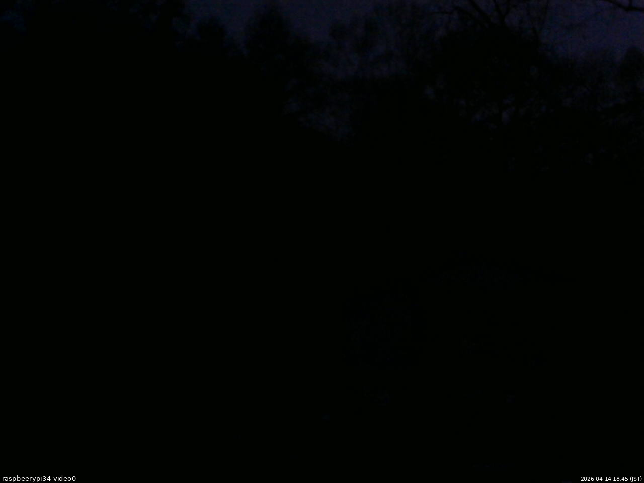 長野県菅平高原 ゆたか山荘 西側(坂上) 2026/04/14 18:45