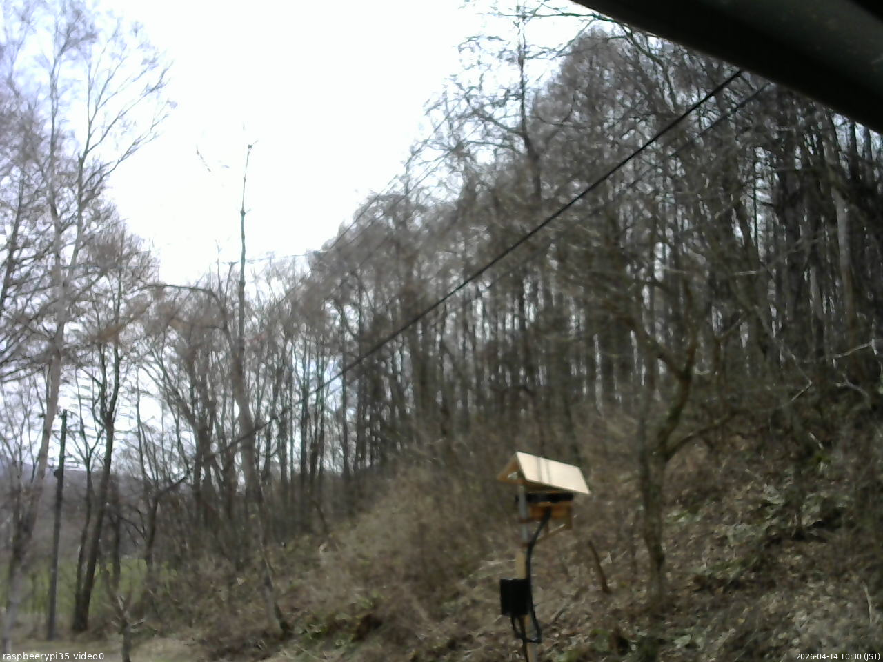 長野県菅平高原 ゆたか山荘 温度計 2026/04/14 10:30