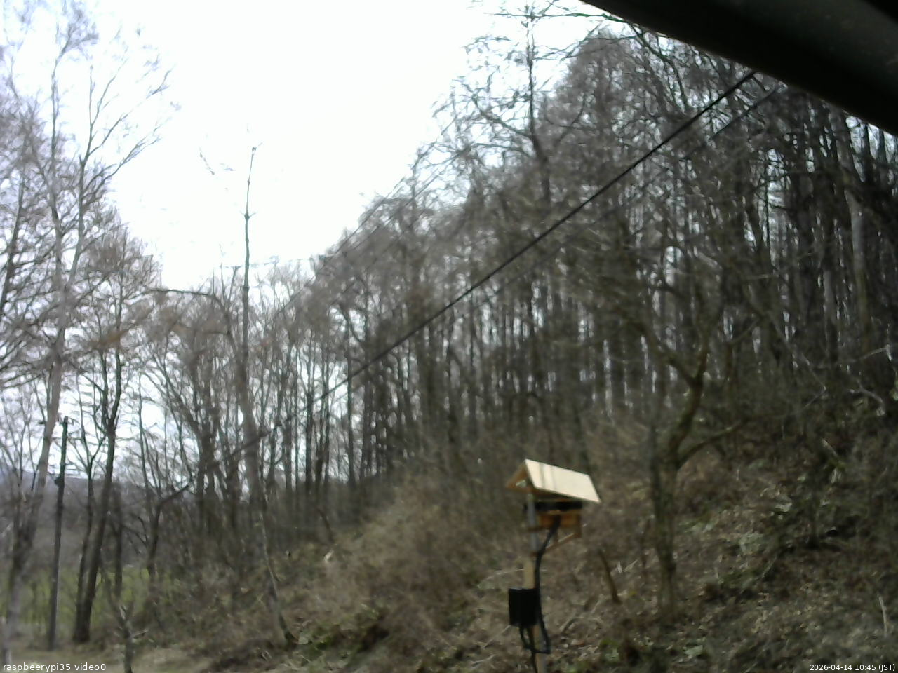 長野県菅平高原 ゆたか山荘 温度計 2026/04/14 10:45