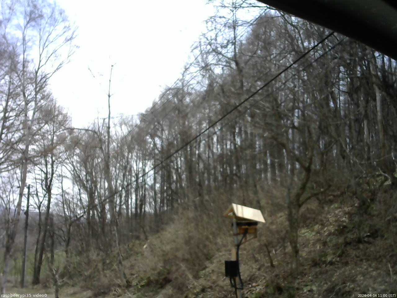 長野県菅平高原 ゆたか山荘 温度計 2026/04/14 11:00