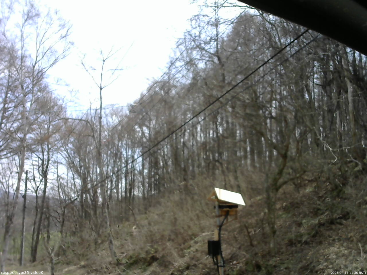 長野県菅平高原 ゆたか山荘 温度計 2026/04/14 11:30