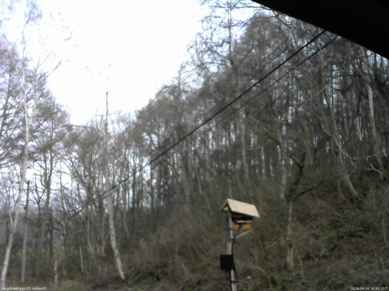 長野県菅平高原 ゆたか山荘 温度計 2026/04/14 16:30