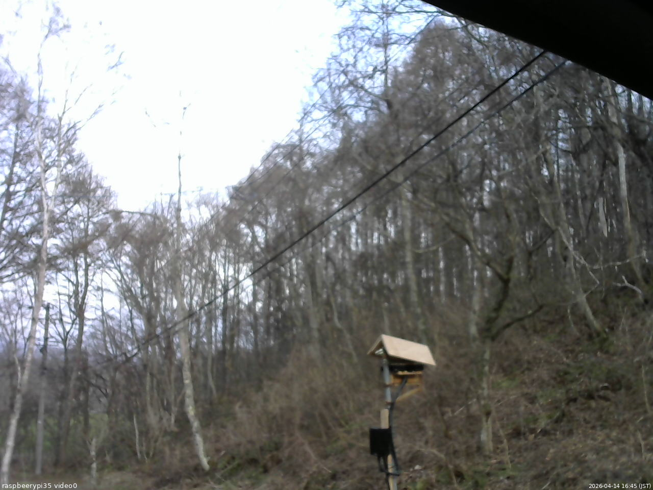 長野県菅平高原 ゆたか山荘 温度計 2026/04/14 16:45