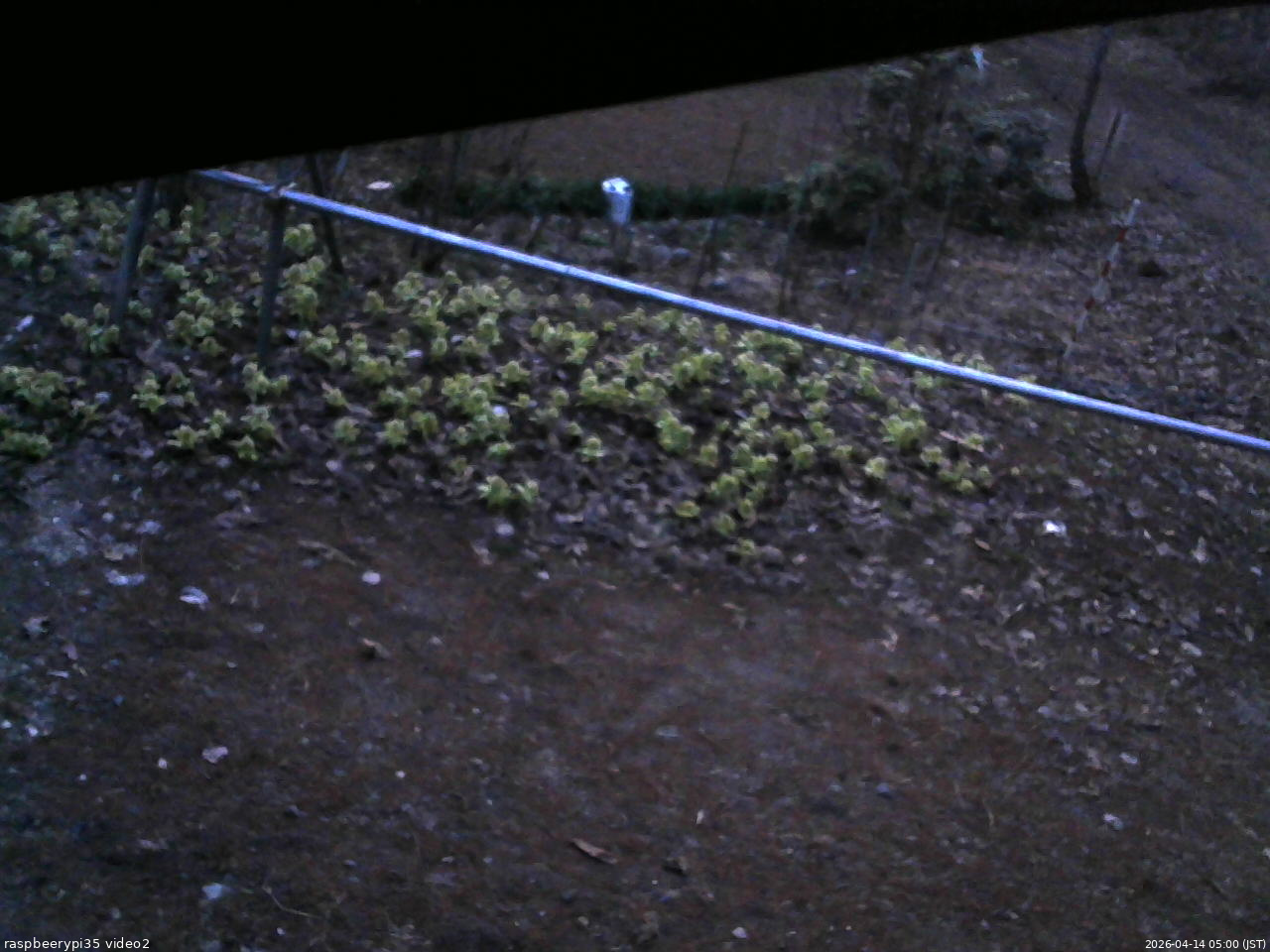 長野県菅平高原 ゆたか山荘 駐車場 2026/04/14 05:00