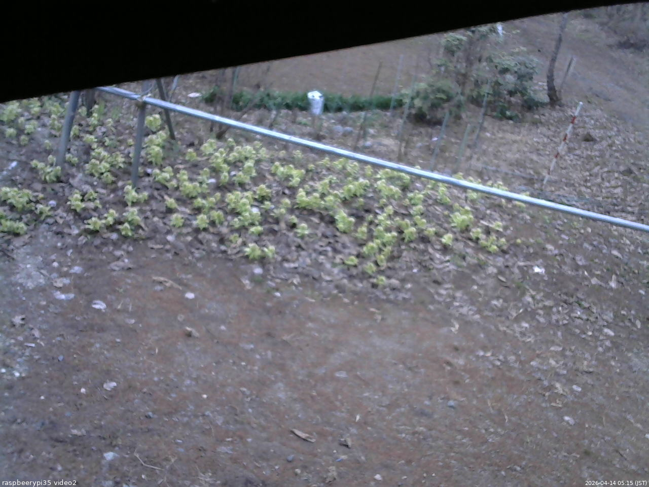 長野県菅平高原 ゆたか山荘 駐車場 2026/04/14 05:15