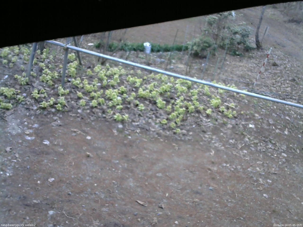 長野県菅平高原 ゆたか山荘 駐車場 2026/04/14 05:45