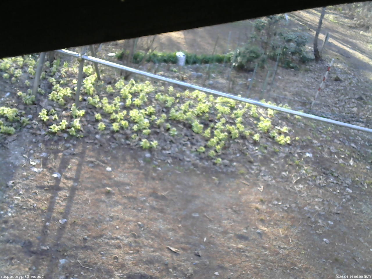 長野県菅平高原 ゆたか山荘 駐車場 2026/04/14 06:00